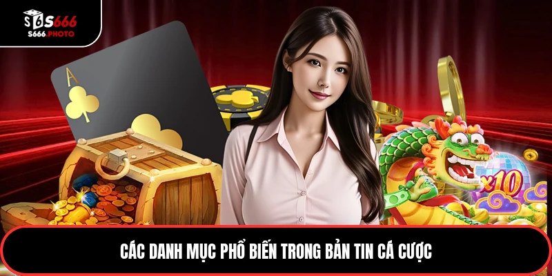 Các danh mục phổ biến trong bản tin cá cược