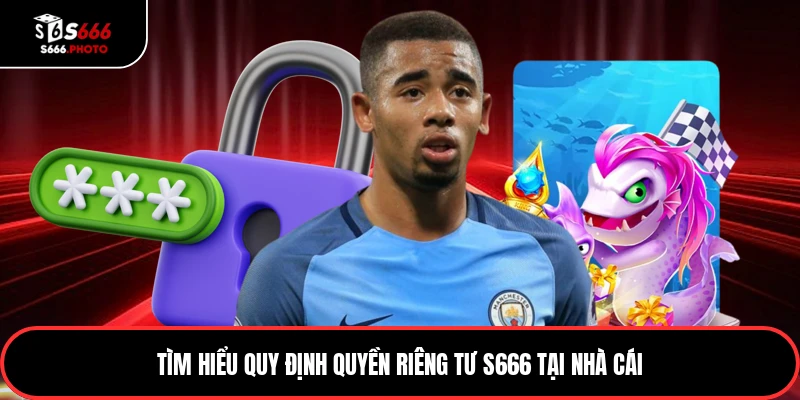 Tìm hiểu quy định quyền riêng tư S666 tại nhà cái